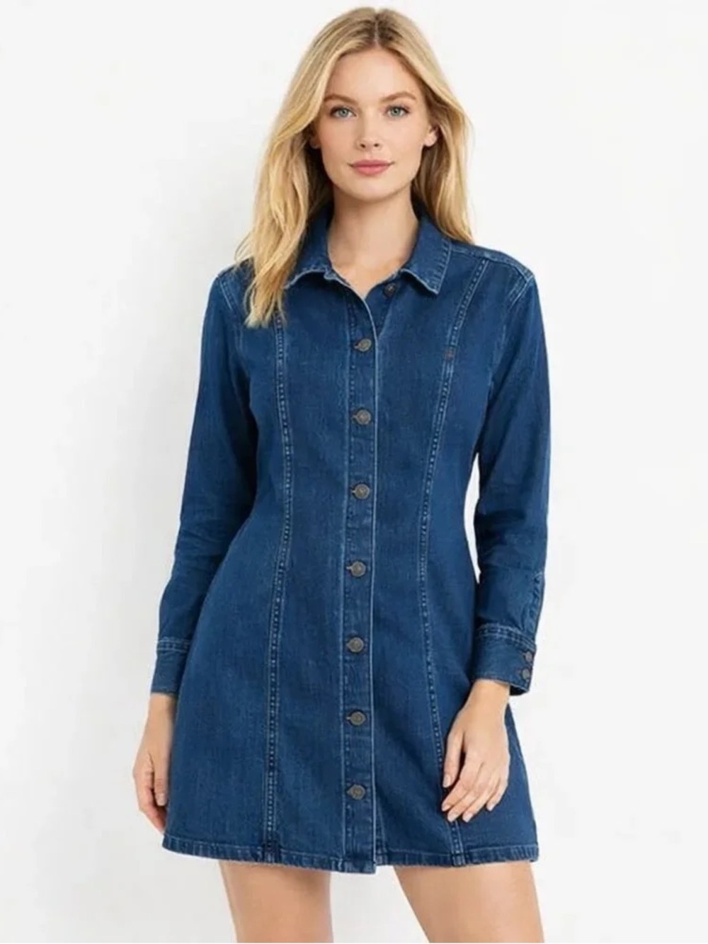 Abercrombie & Fitch Dark Blue Denim Button front Dress